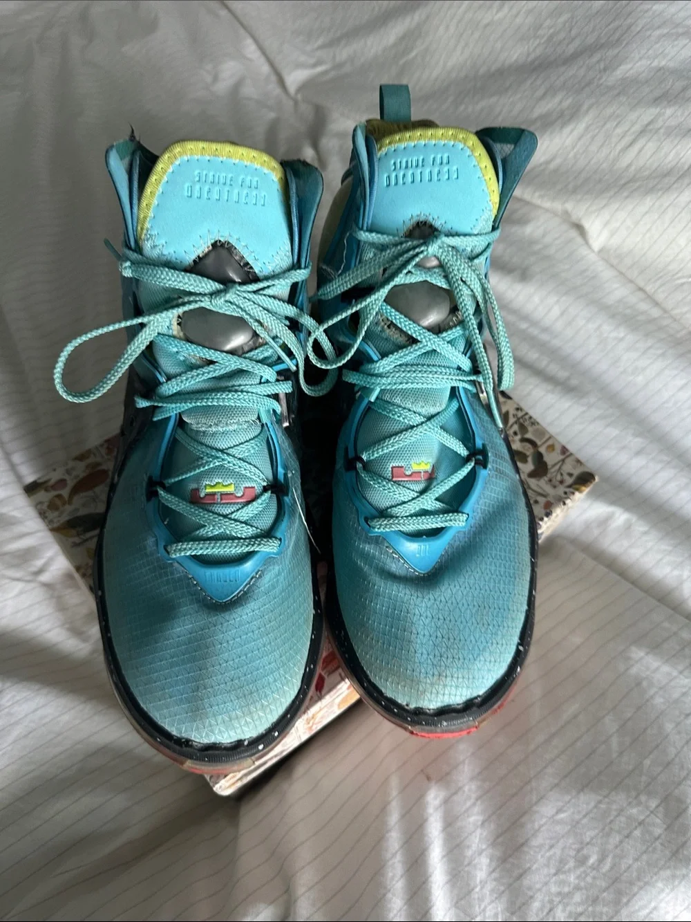 Nike LeBron 19 Christmas Sneakers Size 12 - Scuffed and Hanging Pull Tab